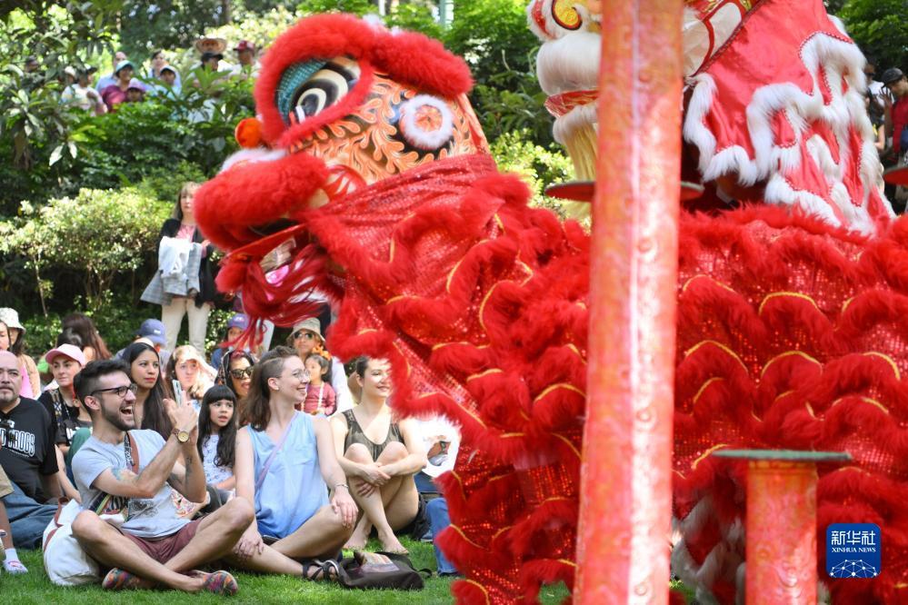 网络电子游艺